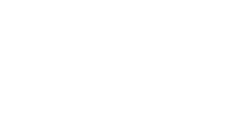 Logo Particle